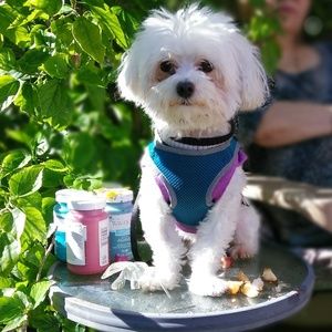 Meet your Posher, Princy